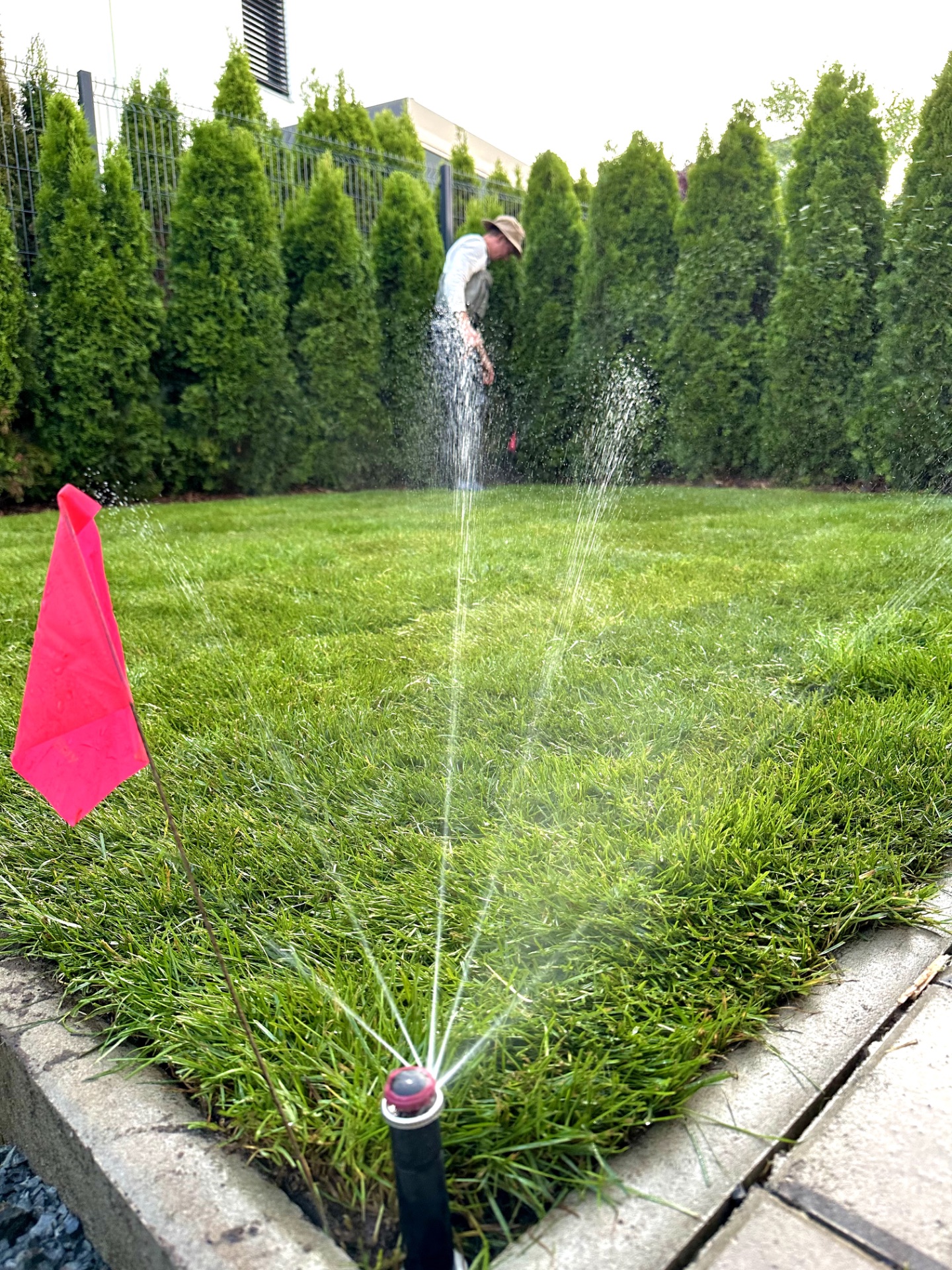 Kompletní realizace zahrady v Pitkovicích